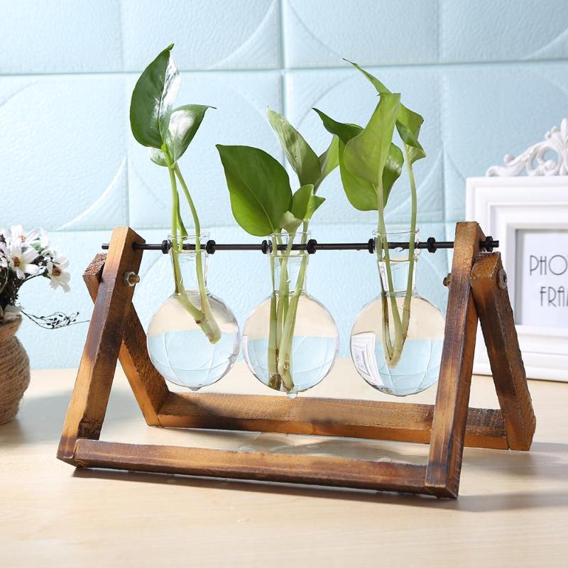 wooden terrarium plants Glass & Wood Tabletop Terrarium